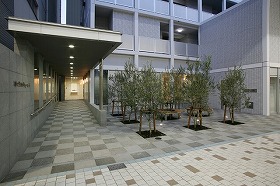 アプローチ・庇・手摺